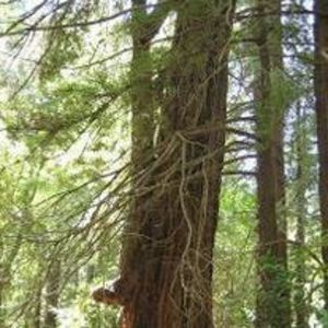 Meet your Posher, Kerry